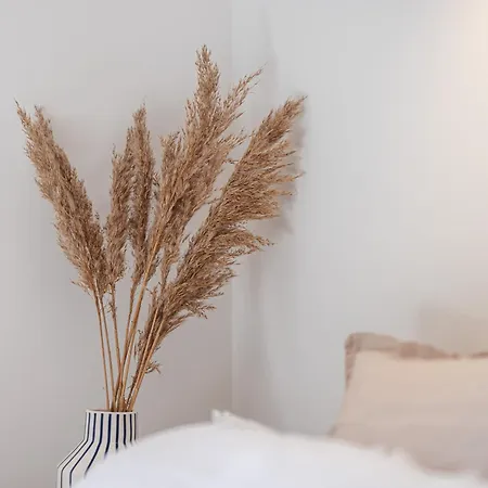 D'architecte Port De Daire Nice