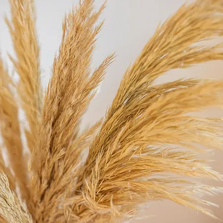 D'architecte Port De Apartman